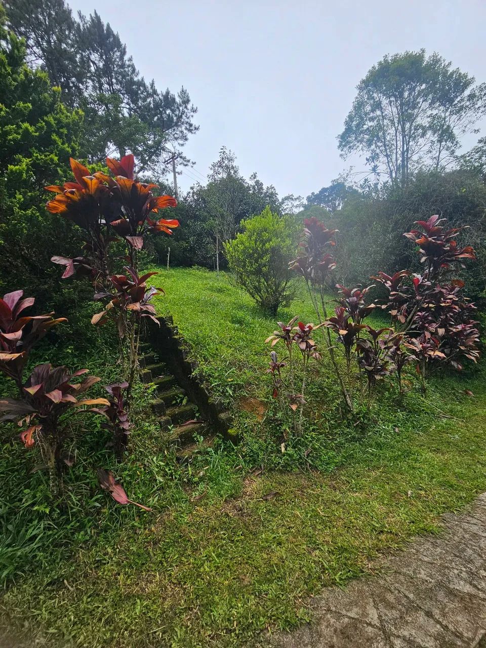 Chara paz e sossego para família  - Foto 2
