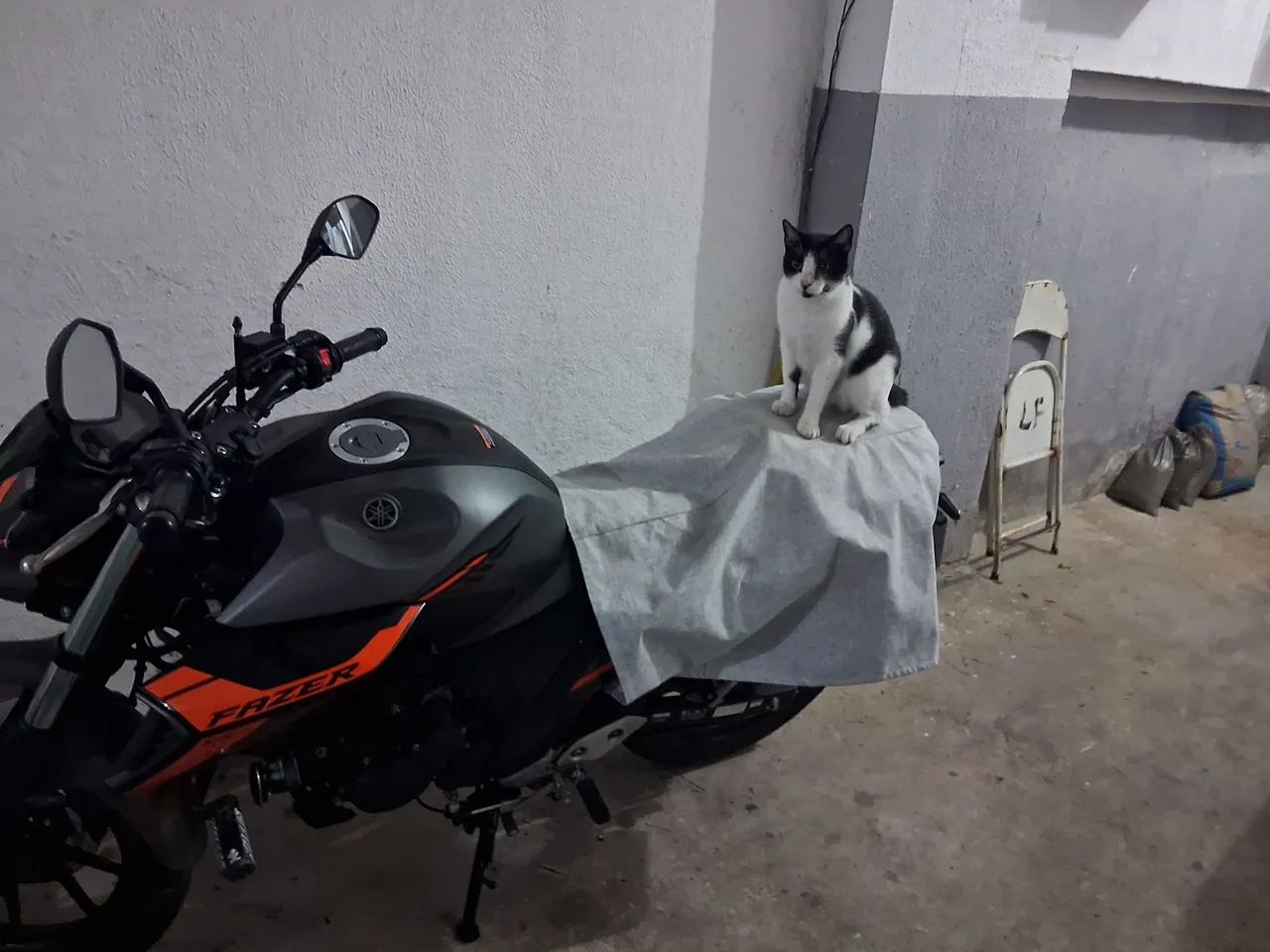Cinza com laranja linda - Foto 2