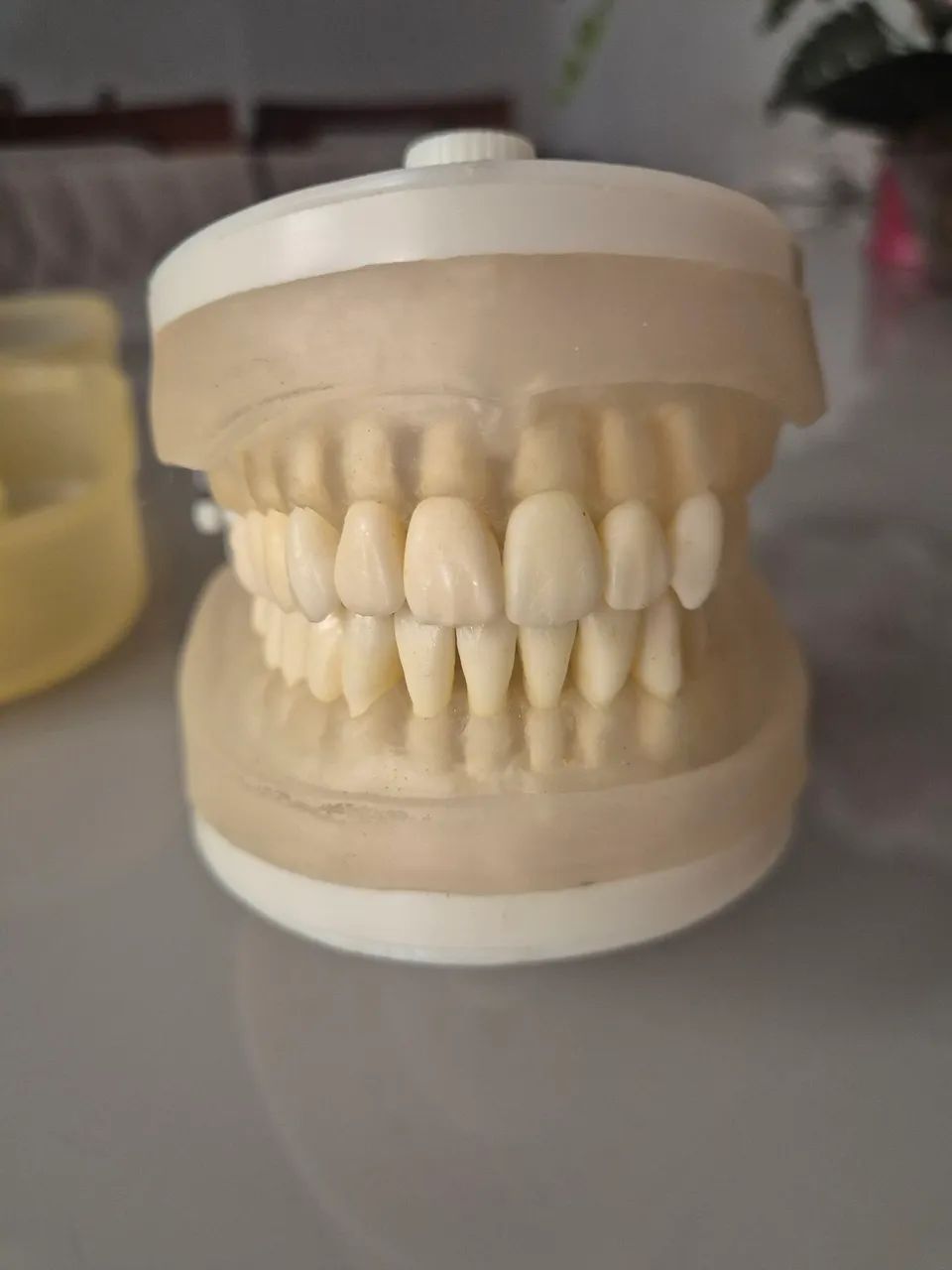 Manequim de Periodontia  - Foto 4