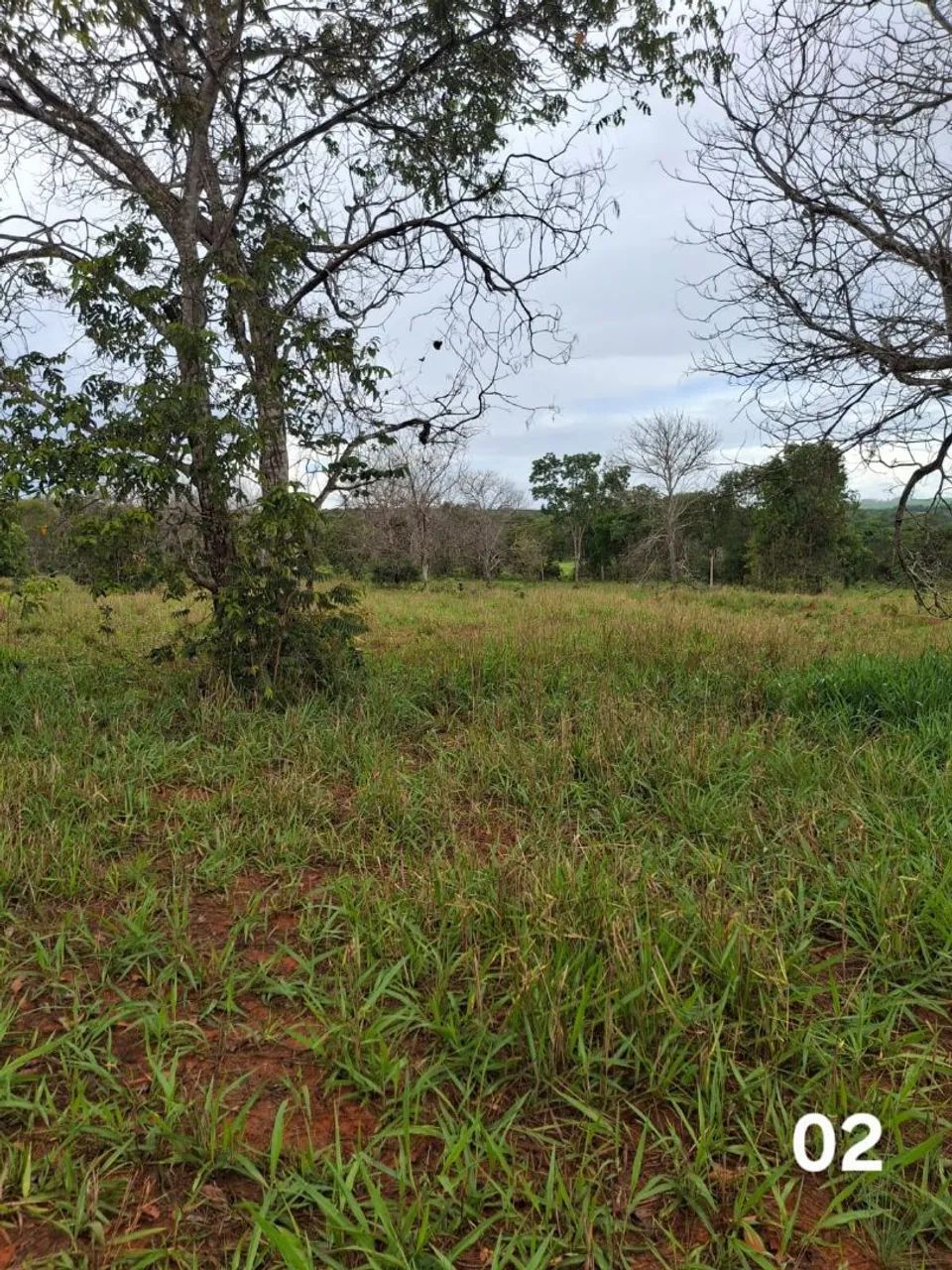 Área de 90 hectares em Tesouro-MT - Foto 2