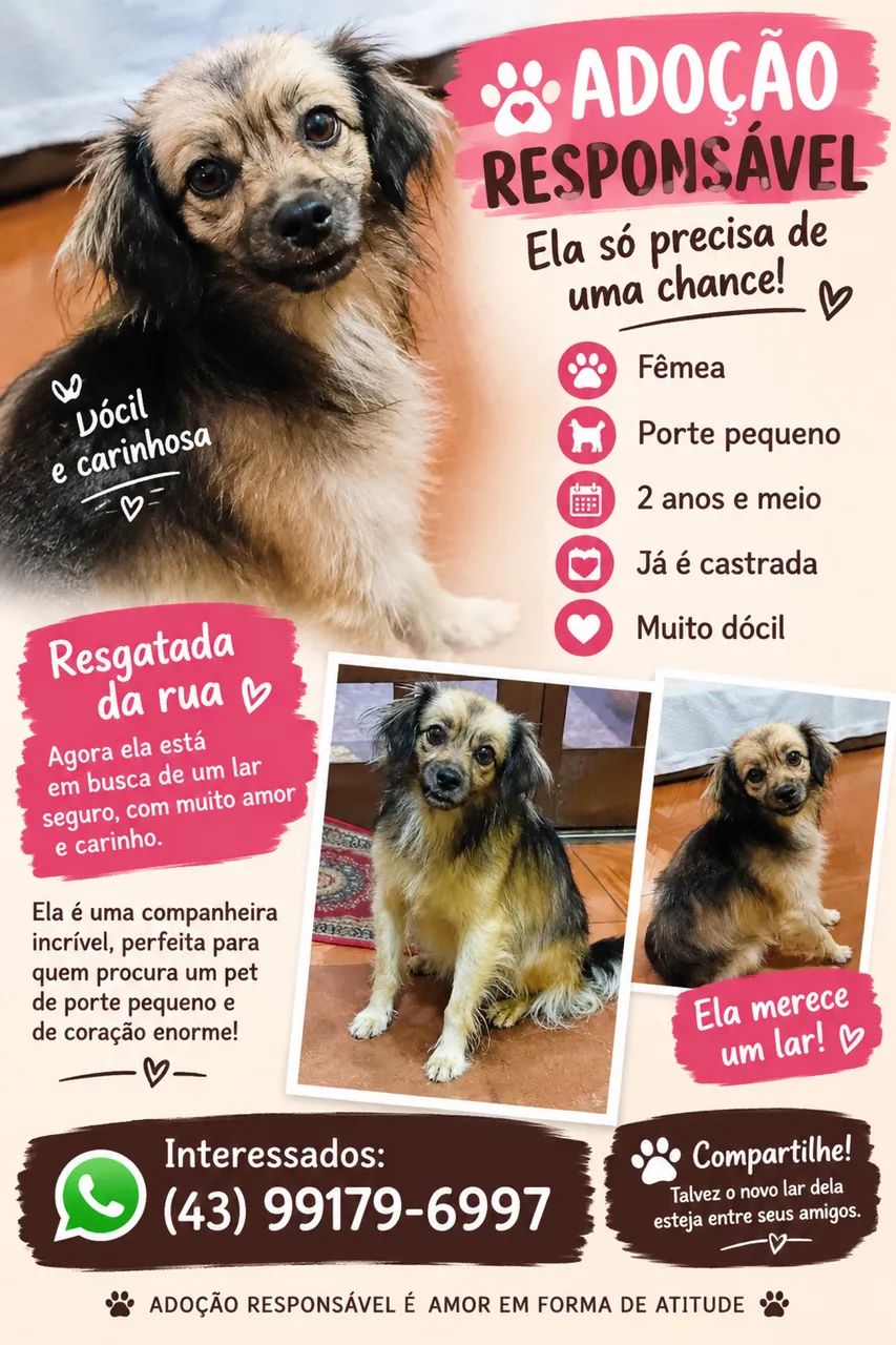 Doação 