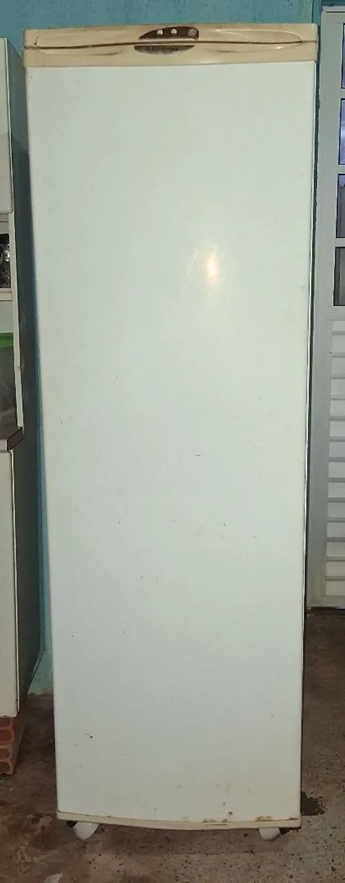 Frezzer vertical Electrolux 