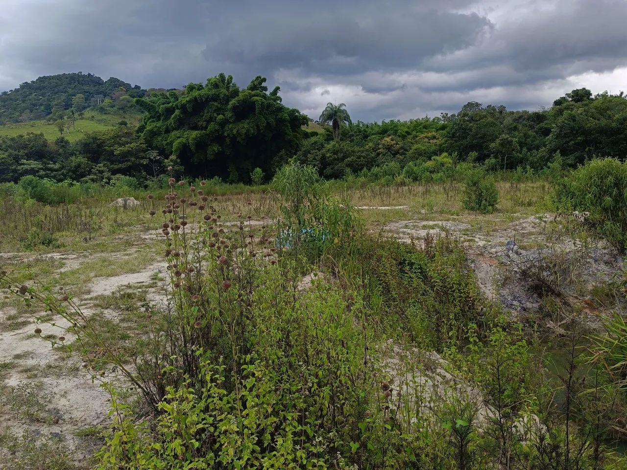 TERRENO 5.000M² EM BONFIM COM ÁGUA  - Foto 3