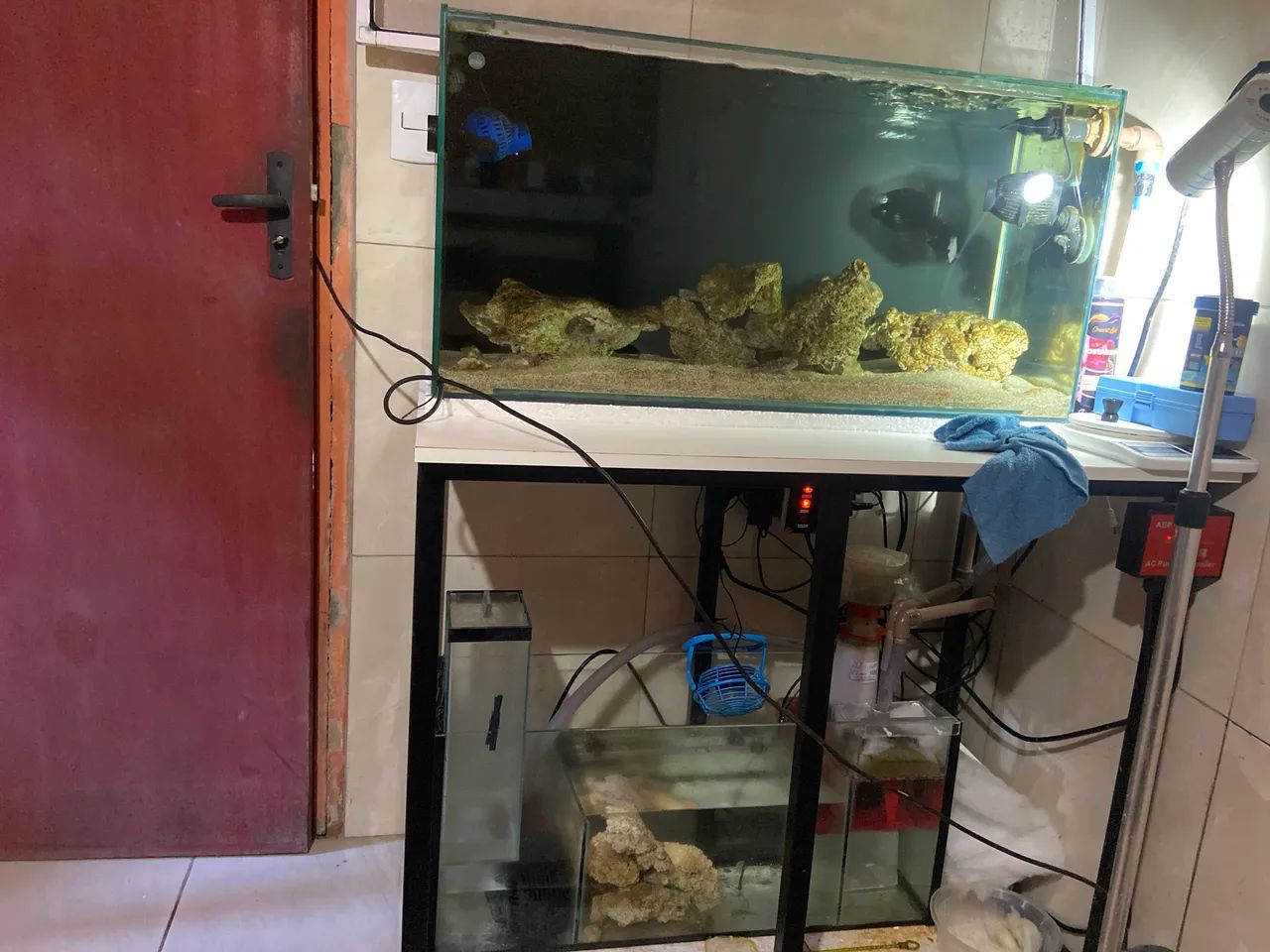 Aquário marinho - Foto 2