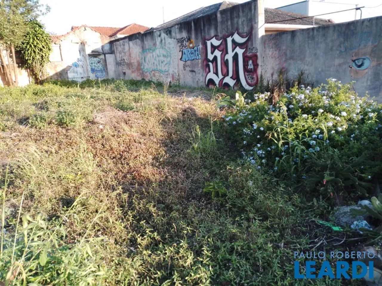 TERRENO - VILA MADALENA - SP - Foto 4