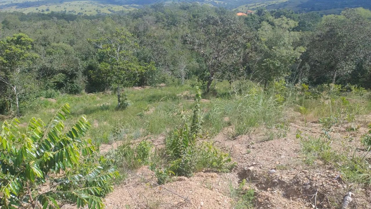 Vendo Terreno Corumbá 4 - Foto 2
