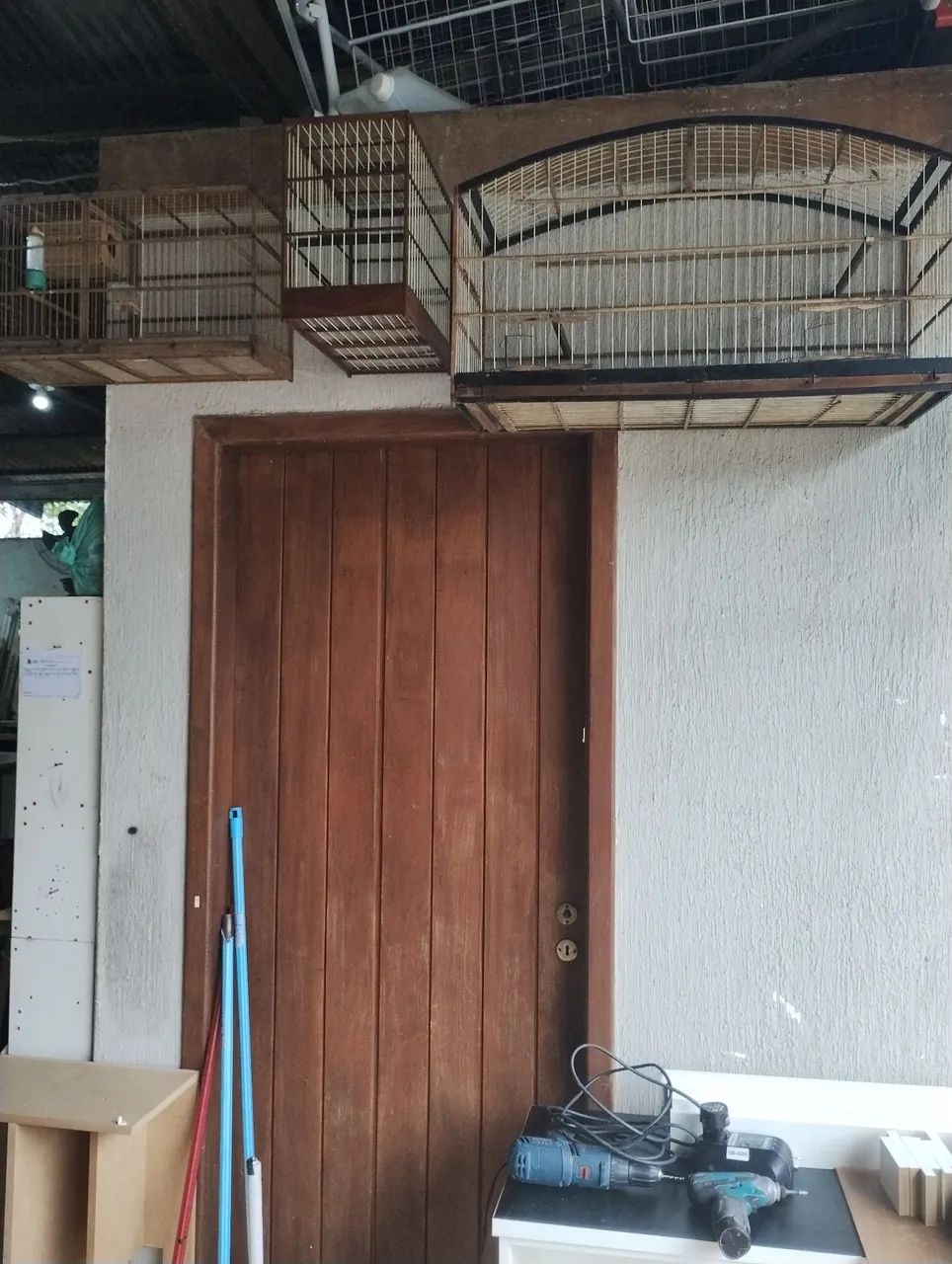 Gaiolas as 3 por 150,00 combino entrega 