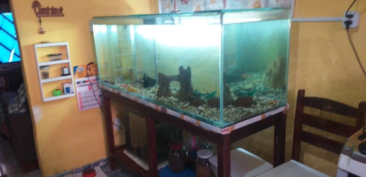 MEGA AQUÁRIO 400 LITROS BEM CONSERVADO - Foto 3