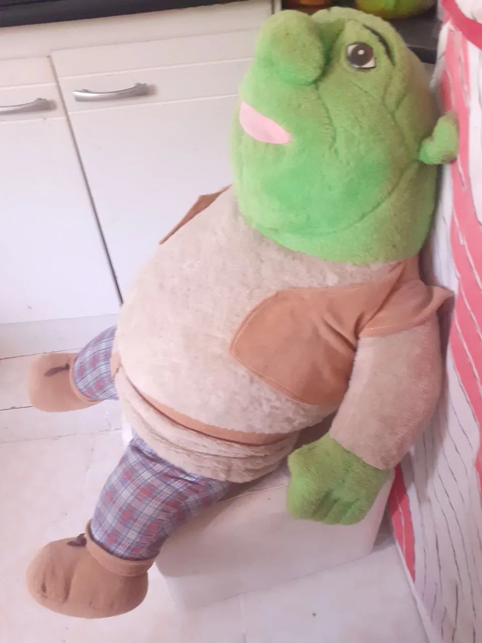 Shrek GIGANTE!!! - Foto 4