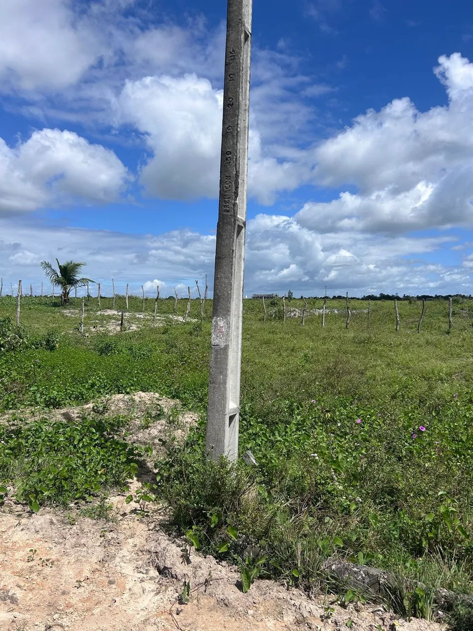 TERRENO 10x20 - MATARACA/PB (MARIANA) - Foto 3