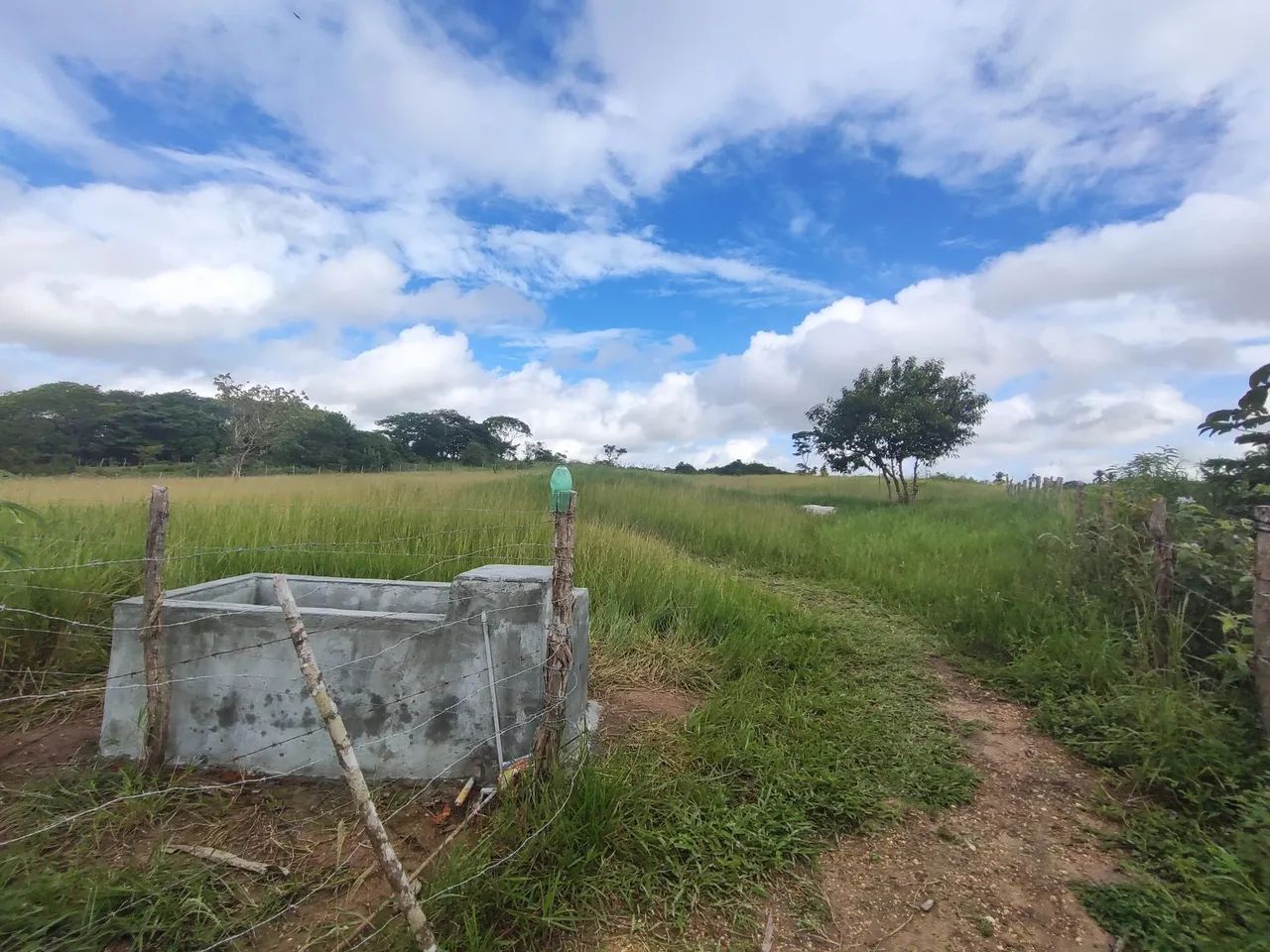 TERRENO DE 13 TAREFAS EM SALGADO/SE - Foto 5