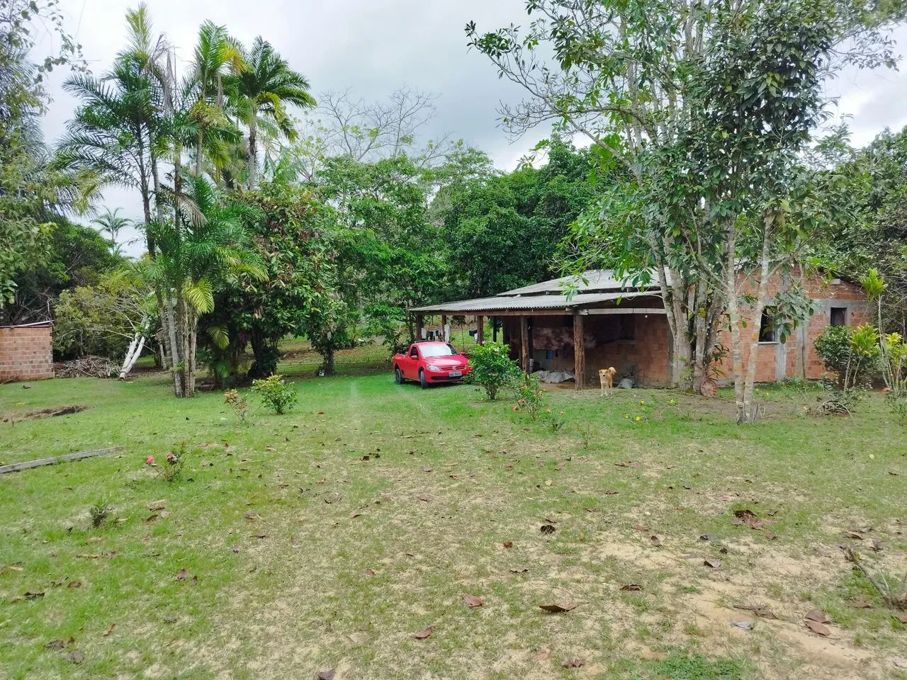 Foto - Manaus - Flores