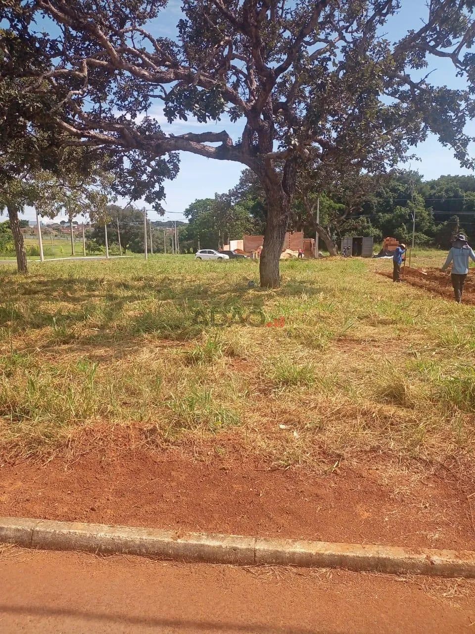 LOTE CONDOMINIO ROSA DE LEIRIA - Foto 4