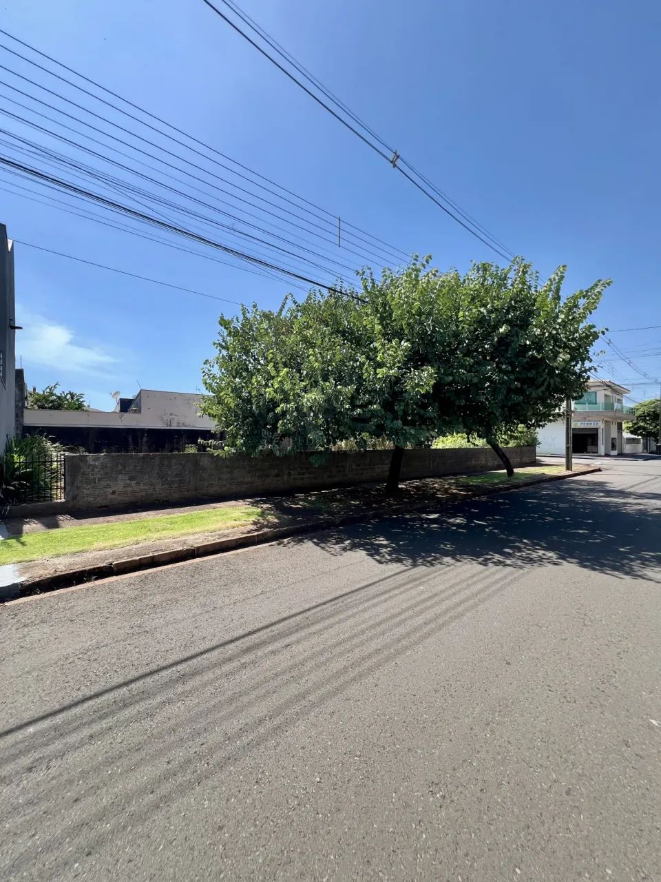 OPORTUNIDADE! Terreno de Esquina para Alugar ? Rua dos Cravos - Foto 4