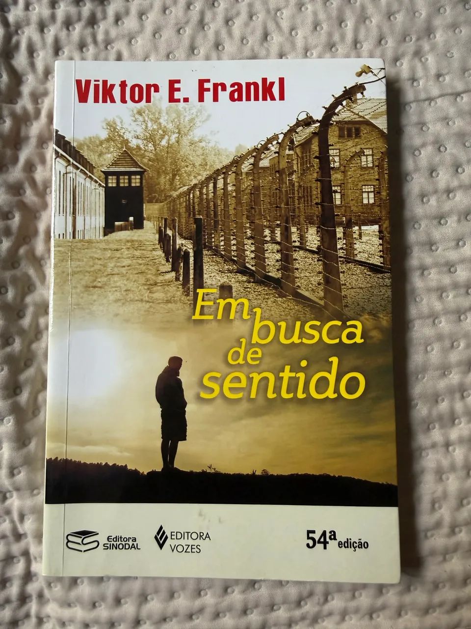 Livro Em busca de Sentido - Viktor Frankl