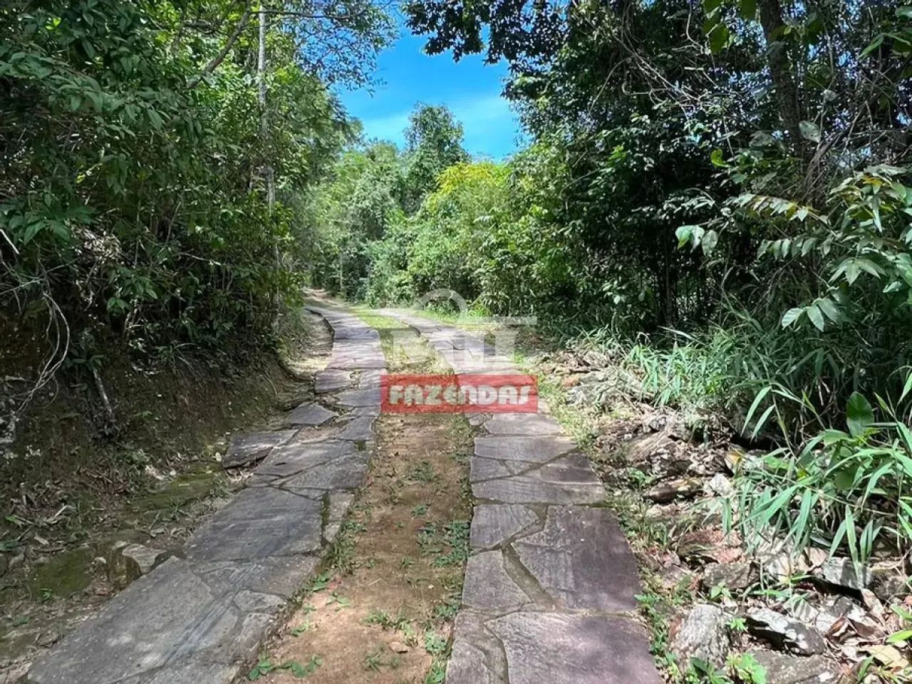 Chácara 1,9 alqueires (9,2 hectares) Pirenópolis - Go - Foto 5
