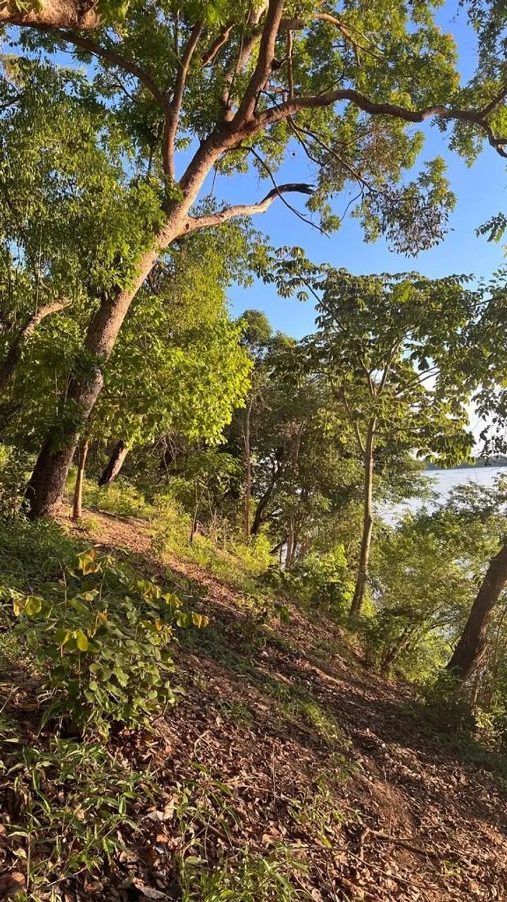 Lote as Margens do Rio Tocantins Tamanho 40x600 - Foto 2