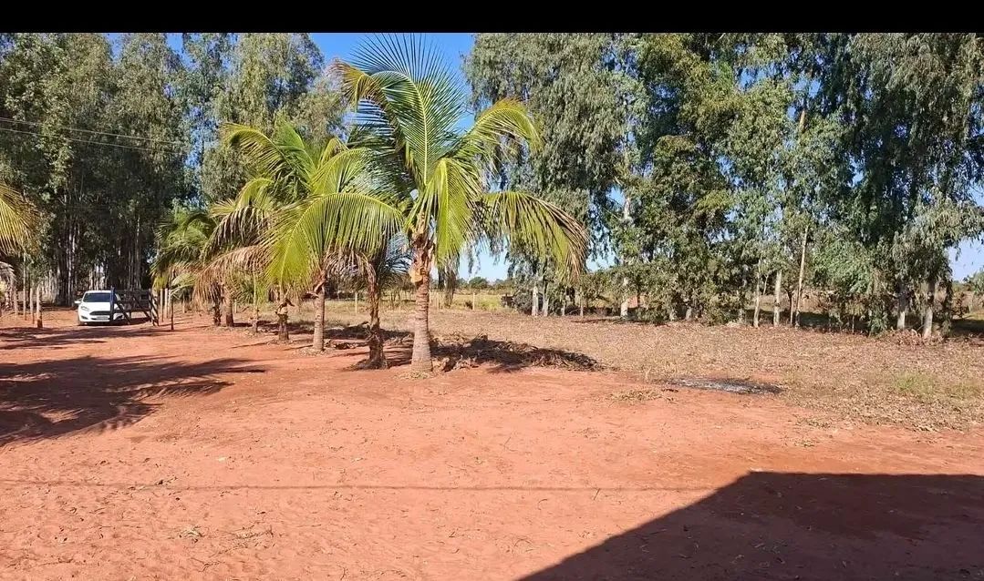 Oportunidade Unica - Foto 2