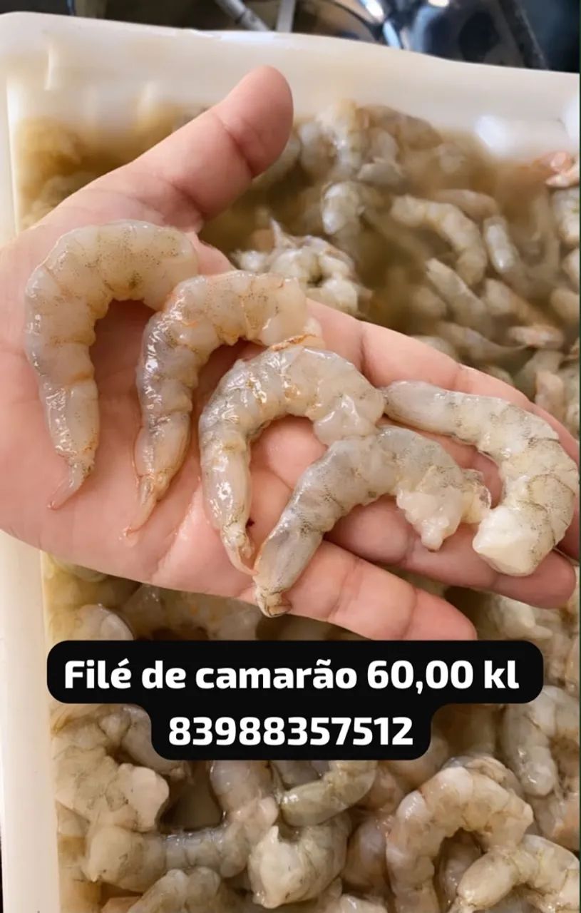 Filé de camarão 