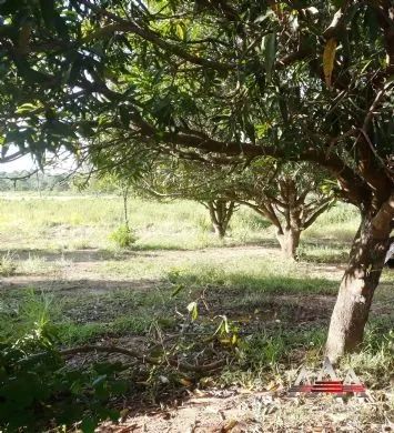 Área regiao dos Condomínios Florais Italia e Belvedere - Foto 5