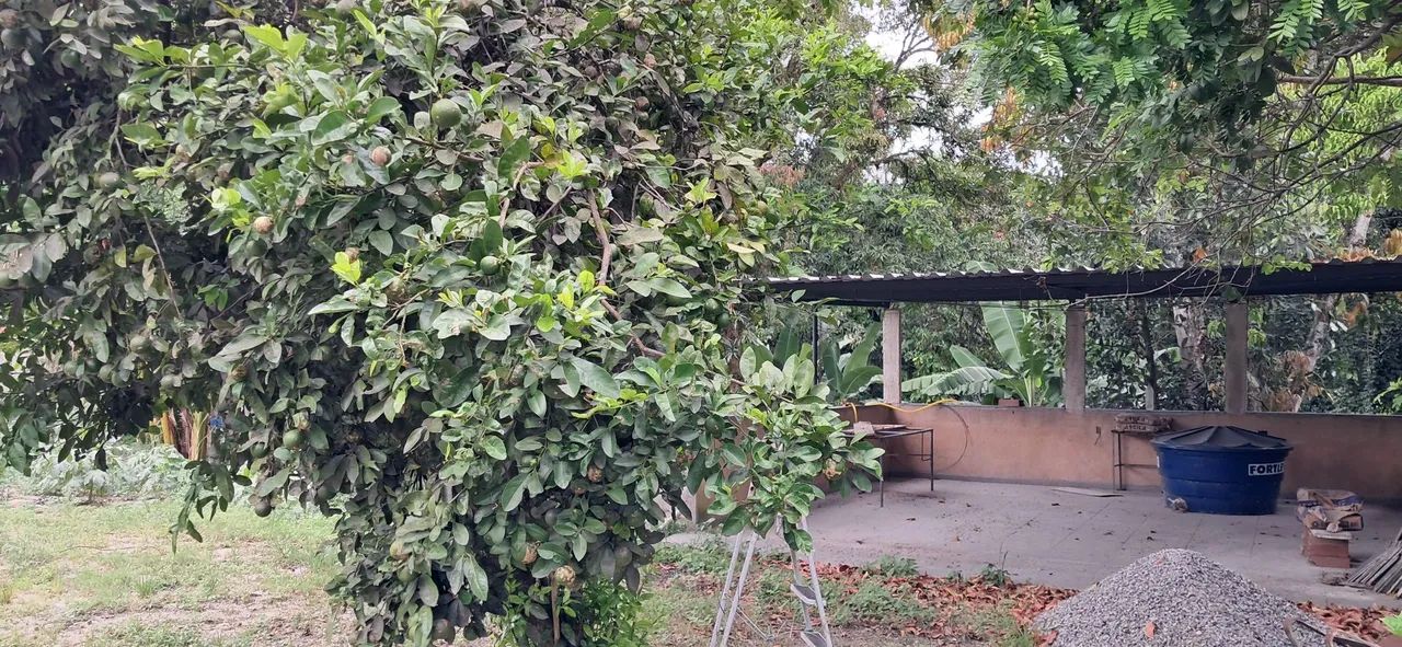 Sitio em Maria Paula- Niterói  - Foto 7