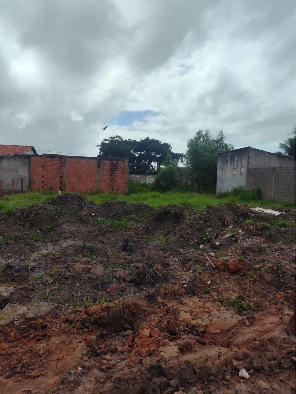 Terreno 