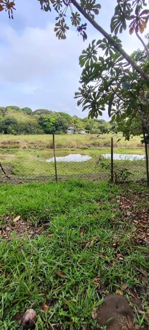 Sítio com 10.000m², 2 casas, pomar - Village do Sol, Guarapari - Foto 3