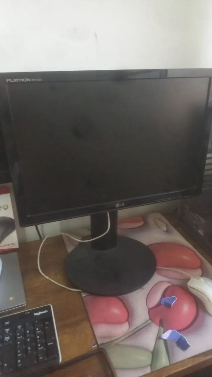 Munitor lg 4k 18 polegadas 