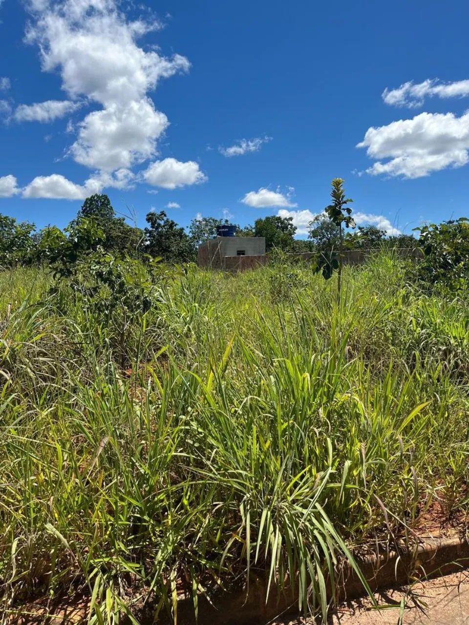 LOTE FUNILANDIA - BELA VISTA - Foto 3