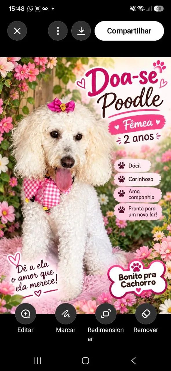 Doa se poodle 