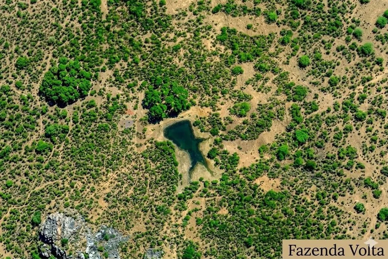 Fazenda em Piancó: Investimento Imperdível! - Foto 5