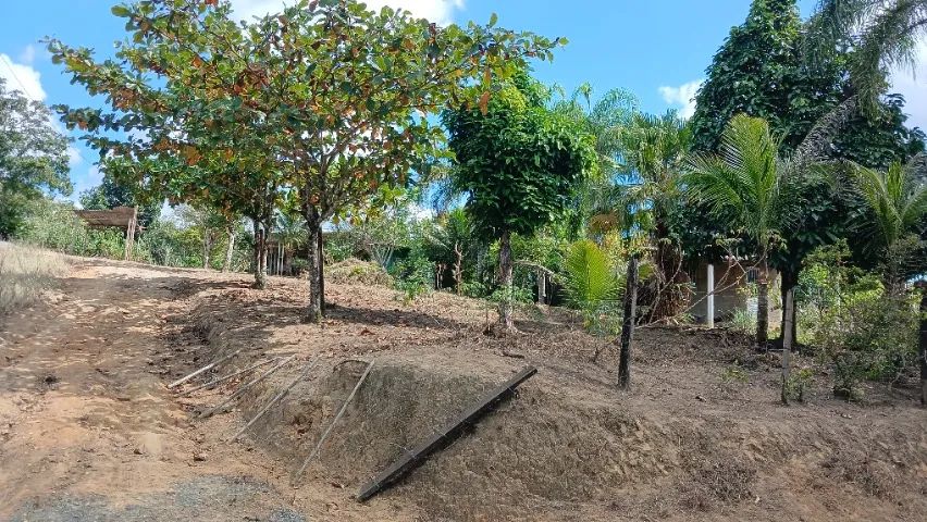 Chácara  em iguape  - Foto 2