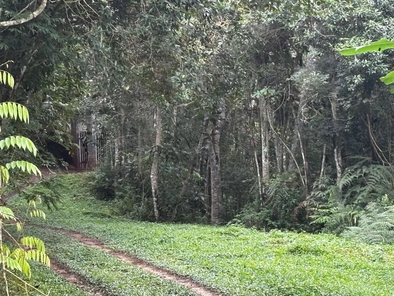 ABAIXEI PARA VENDER! VENDO TERRENO EM SÃO LOURENÇO DA SERRA - Foto 4