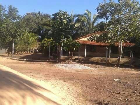 Chácara a beira do Rio Cuiabá - 1 hectare - Foto 3