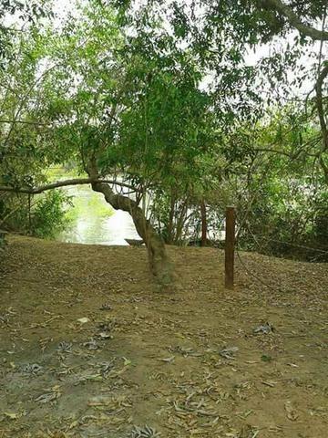 Chácara a beira do Rio Cuiabá - 1 hectare - Foto 13