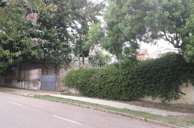 Terreno para alugar em Chácara das pedras, Porto alegre cod:282399 - Foto 3