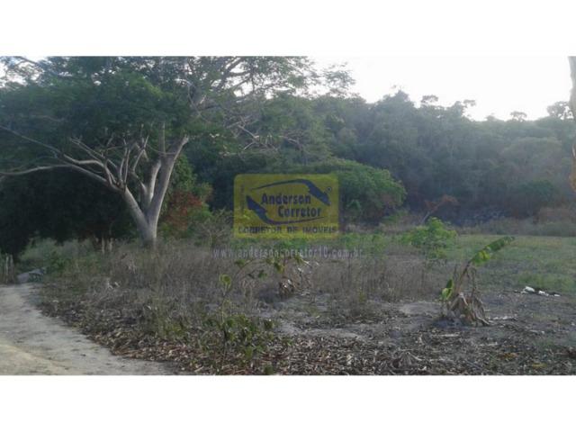 Excelente Área ? Com 6 Hectares - Chã-Grande/PE Propriedade ID : A0317 - Foto 10