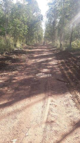 Fazenda campo belo! - Foto 12