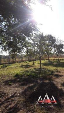 Chácara à venda em Pedra 90, Cuiabá cod:602 - Foto 13
