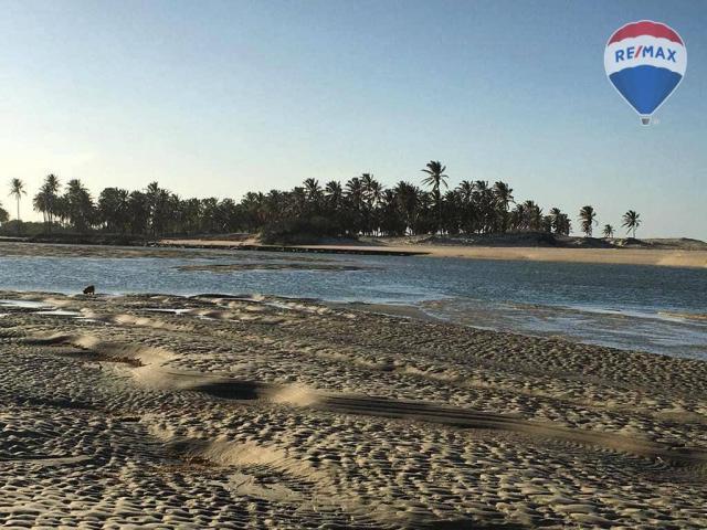 Venha desfrutar da beleza praiana do rio curu - Foto 19
