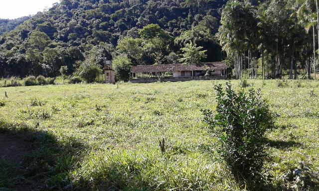 Vendo fazenda com 32 alqueres - Foto 7