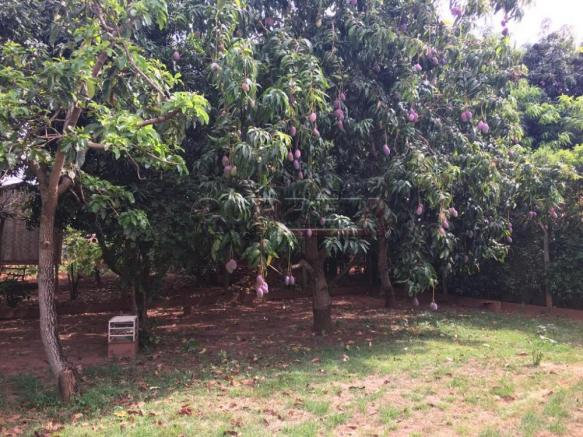 Sítio à venda em Engenheiro taveira, Aracatuba cod:V72161 - Foto 14