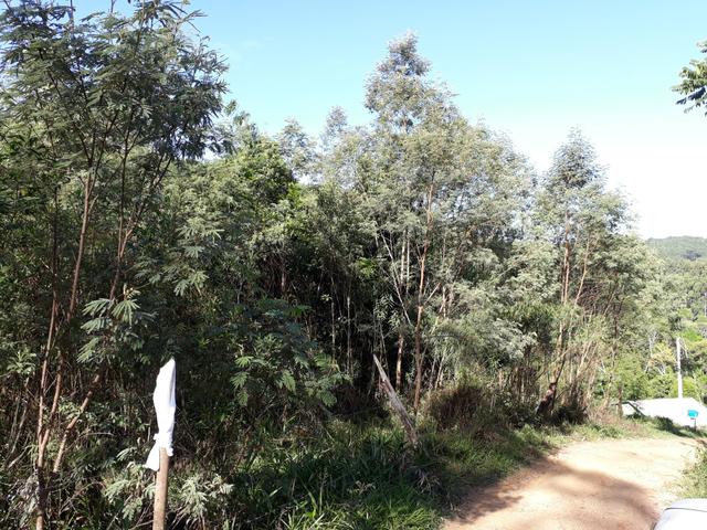 TORRANDO !!! LINDA CHÁCARA de 2.500m2° EM BOCAIUVA - Foto 4