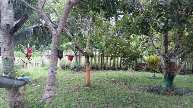 Vendo ou troco por casa em Rio Branco ou em colonia. - Foto 8