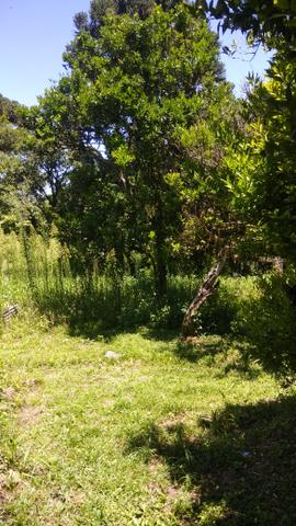 Vende-se chácara - Foto 16