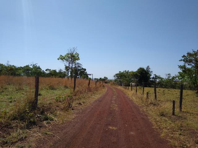 Fazenda localizada no Bezerra - Formosa/GO - Foto 3