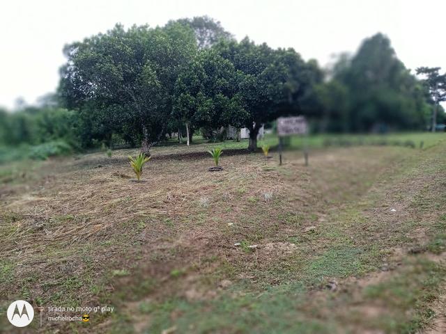 Chacara - Foto 10