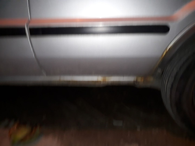 Ecosport 2004 - Foto 4
