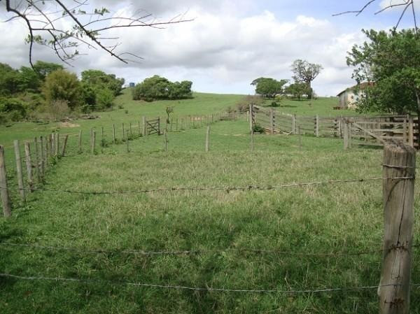 Realize seu sonho e adquira já sua propriedade rural ou urbana - Foto 5