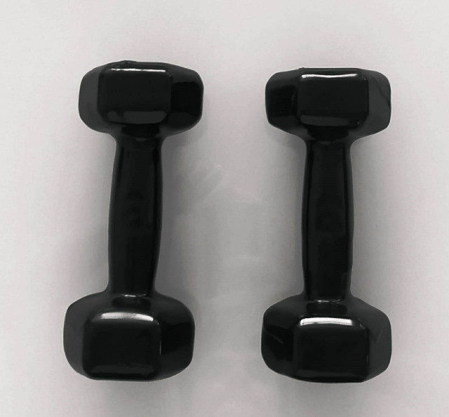 Halter Emborrachado Sextavados (10kg)